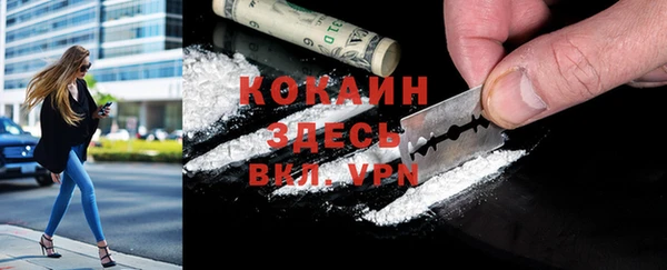 прущие грибы Балахна