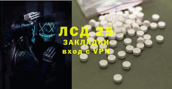 прущие грибы Балахна