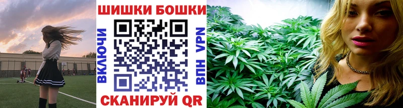 Конопля MAZAR  как найти закладки  Закаменск 